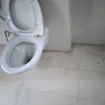 Ambika La Parisian, Sector 66b Mohali